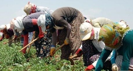Sıcaklık kavuruyor, geçim derdi daha çok yakıyor! Mersin’de emekçilerin zorlu günü