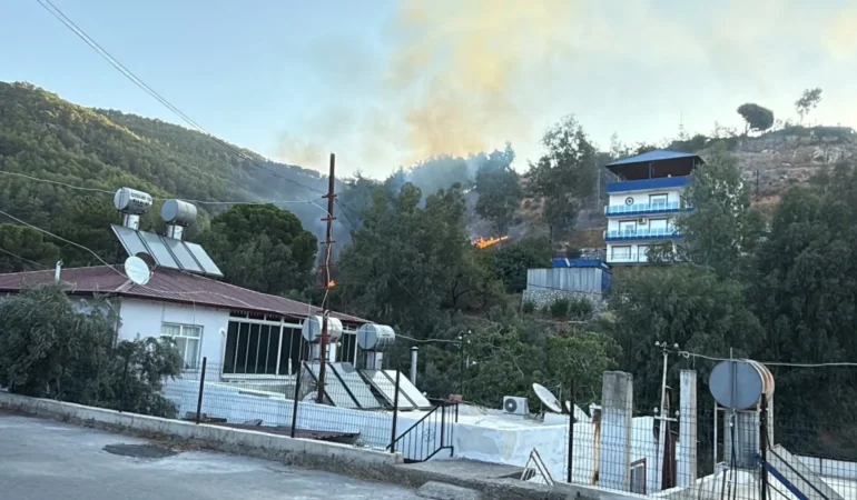 Anamur’da ağaçlık alanda yangın paniği