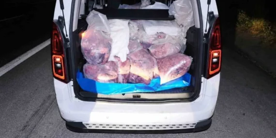 Mersin’de belgesiz sakatat sevkiyatına ceza