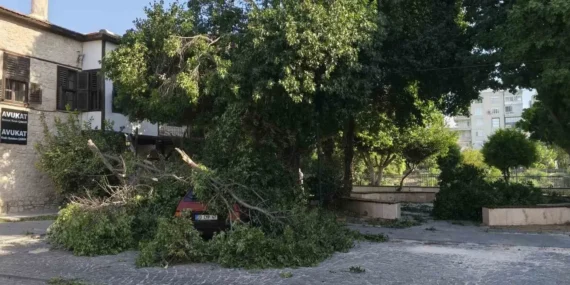 Silifke’de kuvvetli rüzgâr ve fırtına etkili oldu