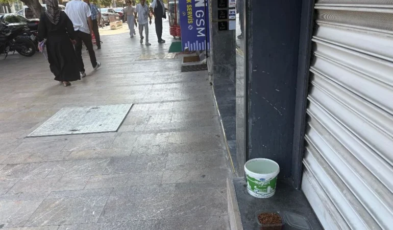 Mersin’de vicdan sokaklara taştı