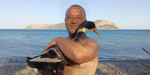 Silifke sahilindeki sevimli misafir görenleri şaşırttı