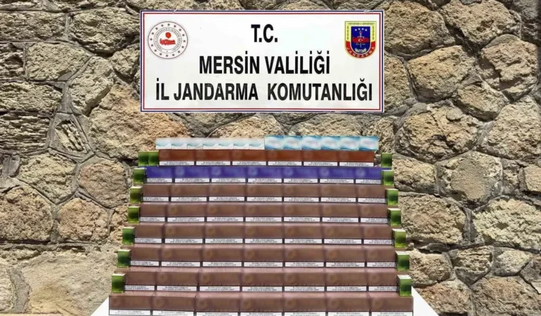 Mersin’de kaçakçılık operasyonu: Binlerce paket ısıtılmış tütün ele geçirildi