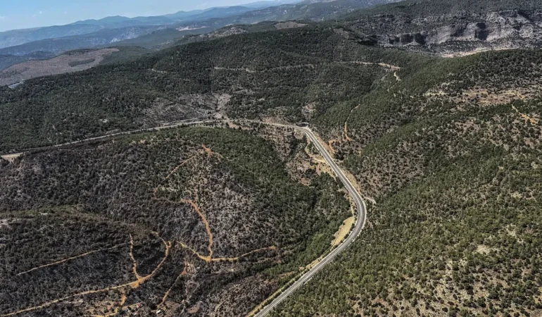 Mersin’de yanan ormanlık alan havadan görüntülendi