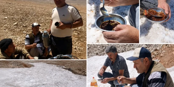 Mersin’de sıcaktan kaçışın yolu Toroslar’ın zirvesinde karsambaç keyfi
