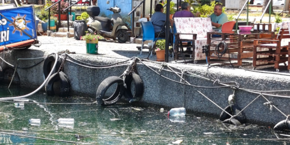 Mersin’in gözde noktasında kirlilik alarmı!