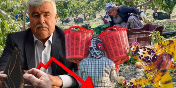 Başkan Yılmaz’dan Akdeniz meyve sineği uyarısı: “Üretici tek başına mücadele edemiyor”