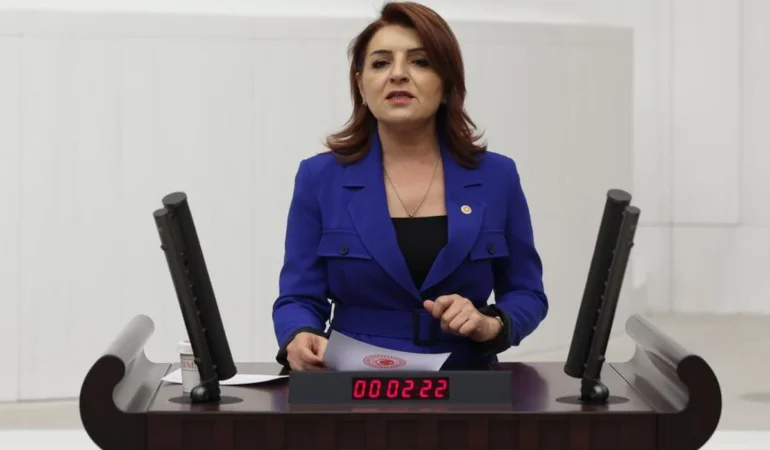 CHP’li Kış: Okul masrafları aileleri eziyor, esnaf yok oluyor